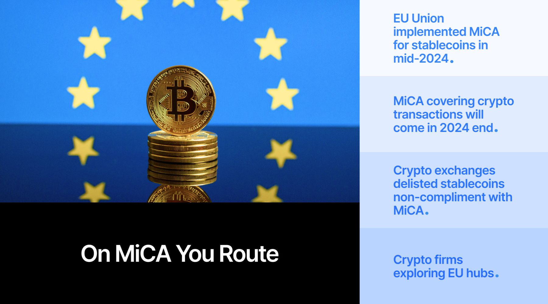 蒙圩镇：光伏板下鱼虾跃 立体发展产业兴